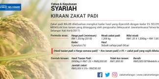 Bagaimanakah mengira zakat padi mengikut fatwa terkini?