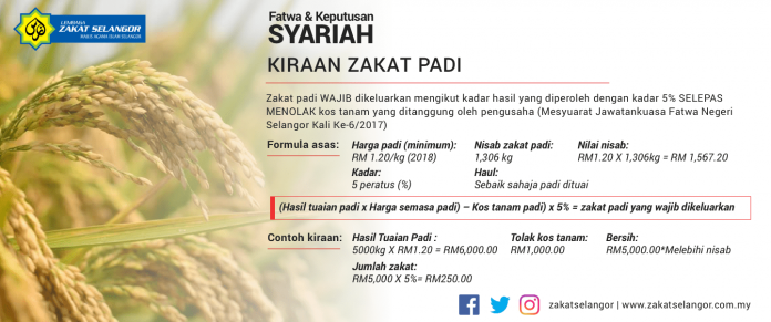 Bagaimanakah mengira zakat padi mengikut fatwa terkini?